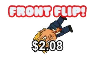 Front flip
